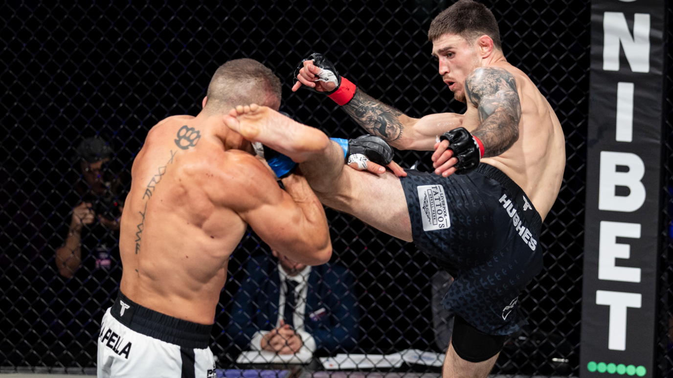 Bela Diri yang Paling Banyak Dipakai oleh Fighter MMA
