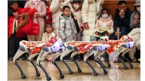 Robot I-K9 yang biasa dipakai polisi, di China justru tampil sebagai penari barongsai untuk meriahkan perayaan Imlek