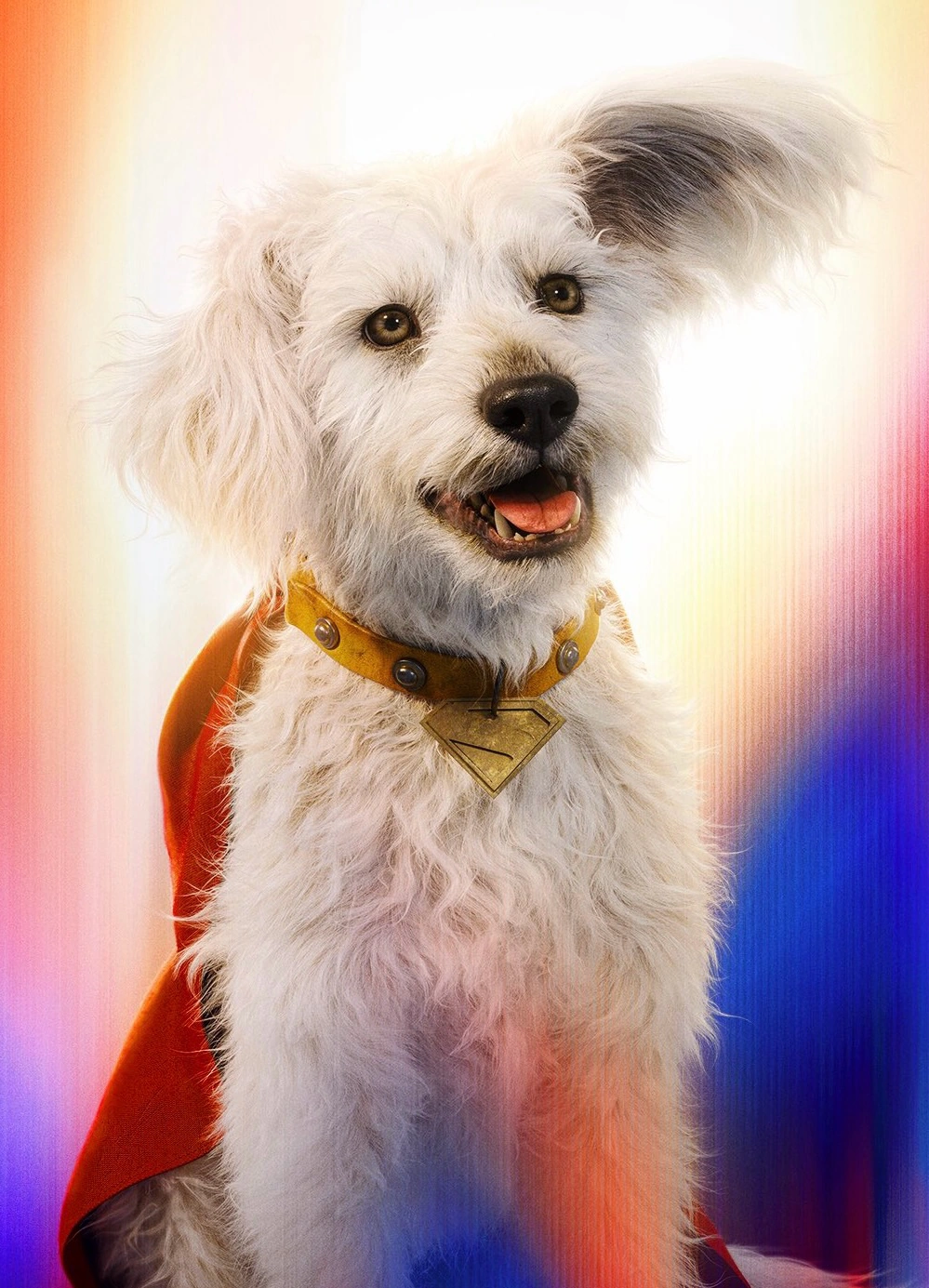 Berkat Anjing Krypto di Film Superman, Minat Adopsi Anjing Melonjak Hingga Lebih dari 500 Persen