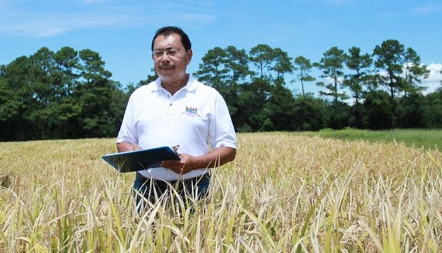 Ilmuwan Asal Malang, Herry Utomo Jadi Profesor di AS, Ciptakan Beras Tinggi Protein Pertama di Dunia