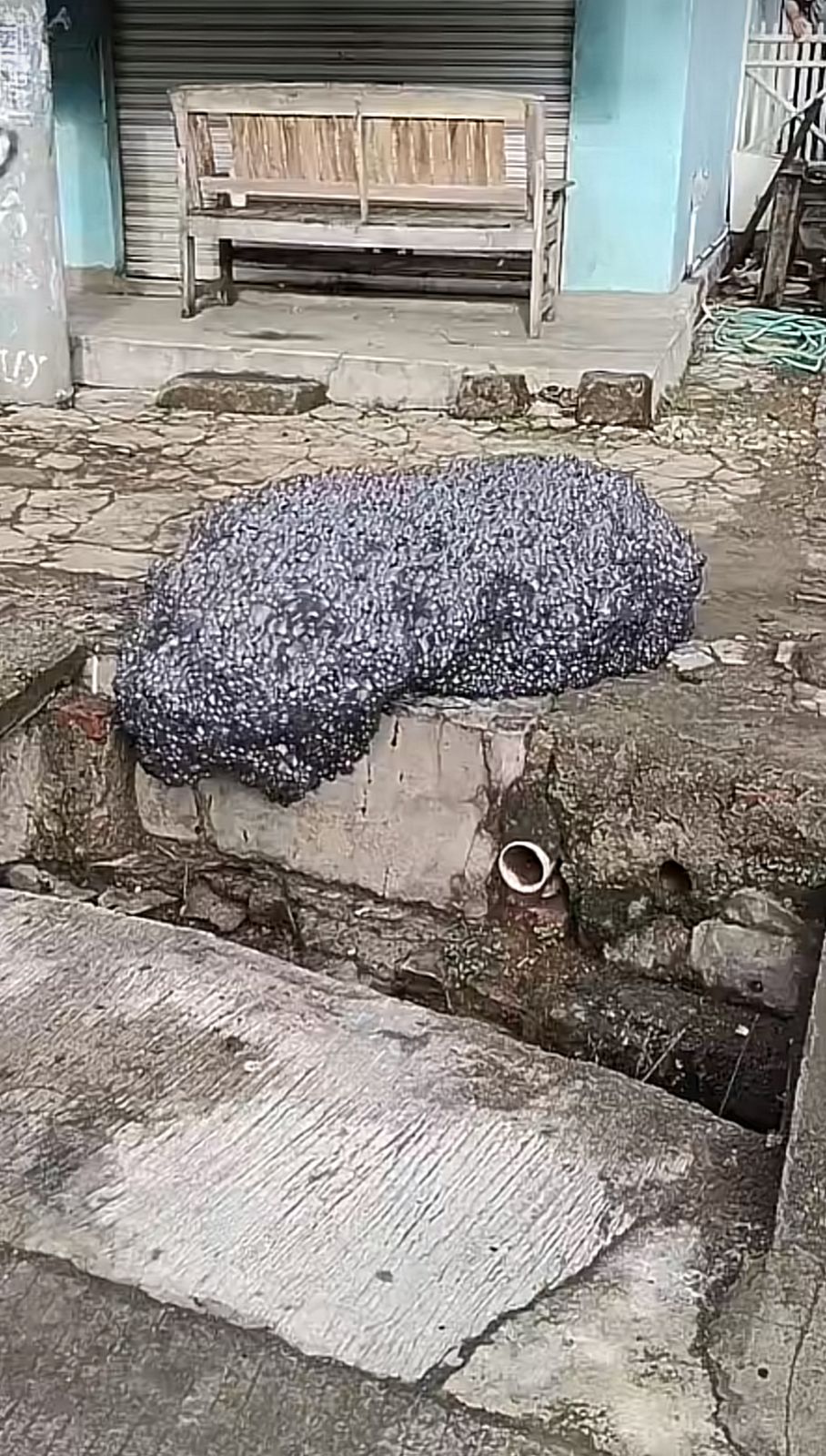 Heboh Gumpalan Hitam seperti awan di Subang, DLH Jabar Peringatkan Warga Jangan Sentuh Sebelum Diuji