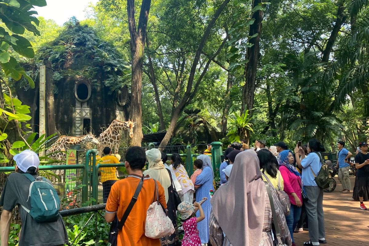 Mulai Besok, Ragunan Akan Buka Sampai Jam 22.00 WIB Setiap Malam Minggu